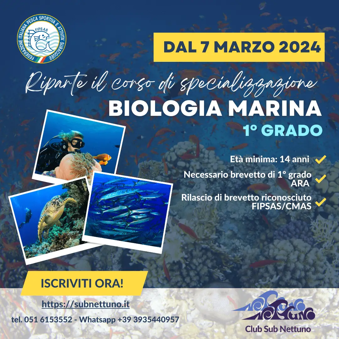 Immagine in evidenza: Corso di Biologia Marina