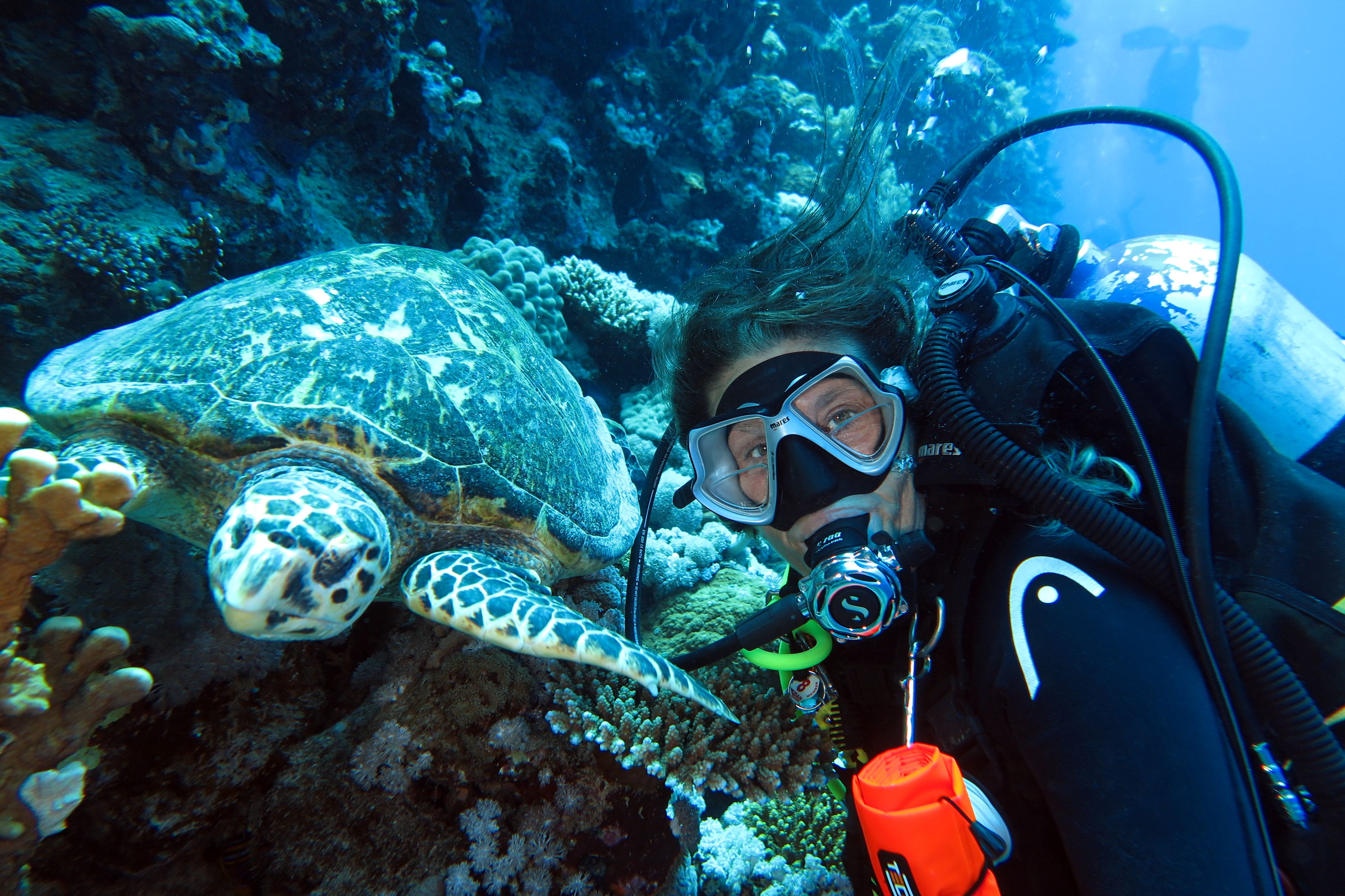 Home – immagine di sfondo 1