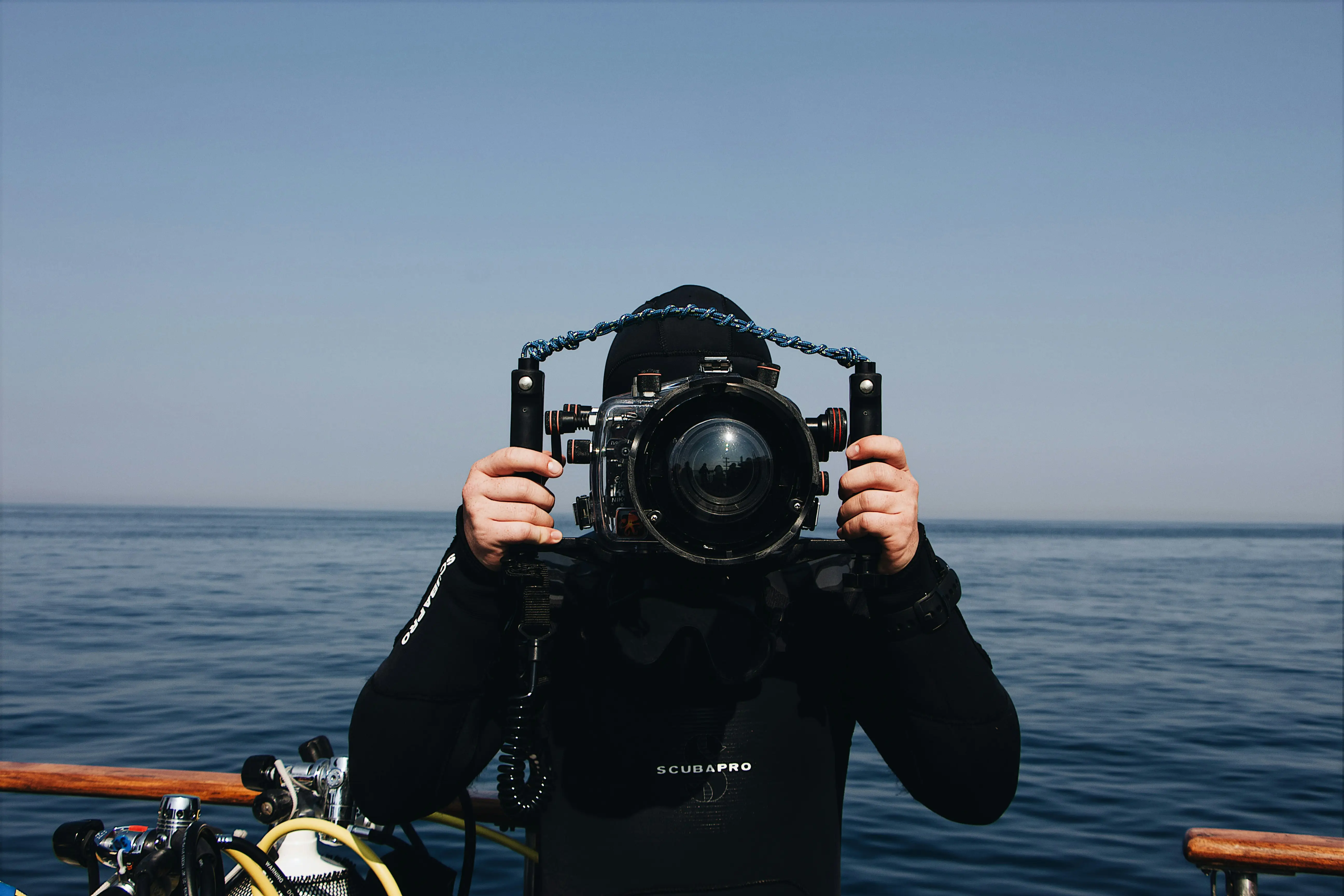 Biologia Marina – sfondo