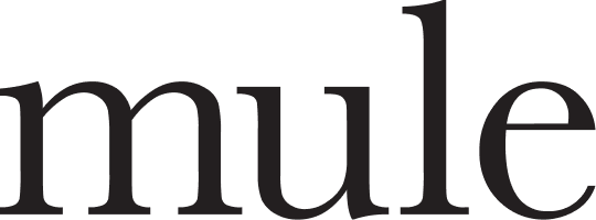 Mule Studio