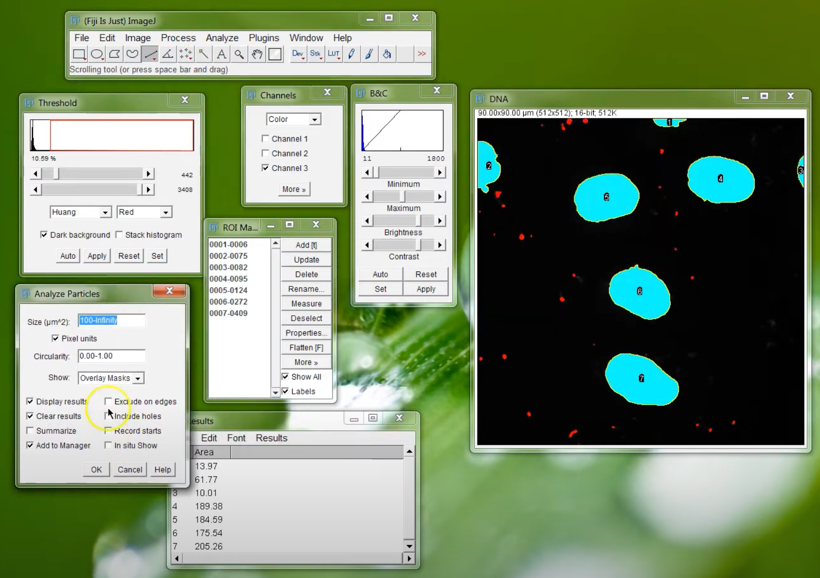 Fiji mass photometry UX
