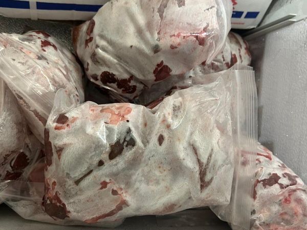 Frozen Goat Meat