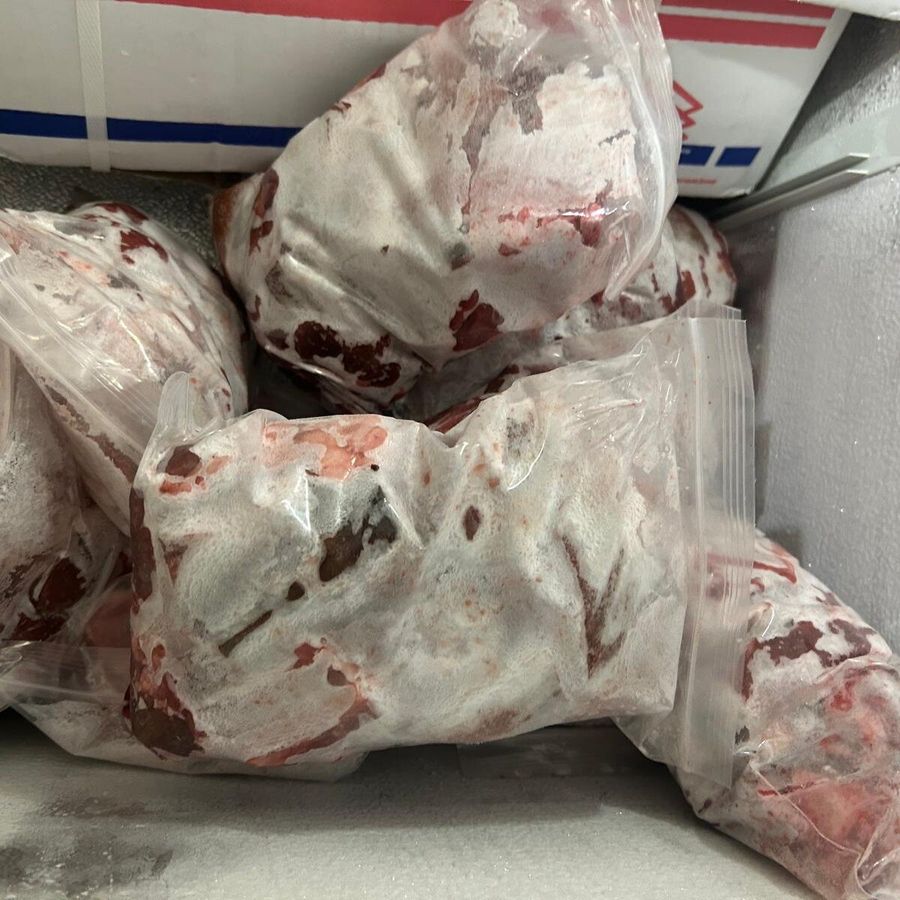 Frozen Goat Meat