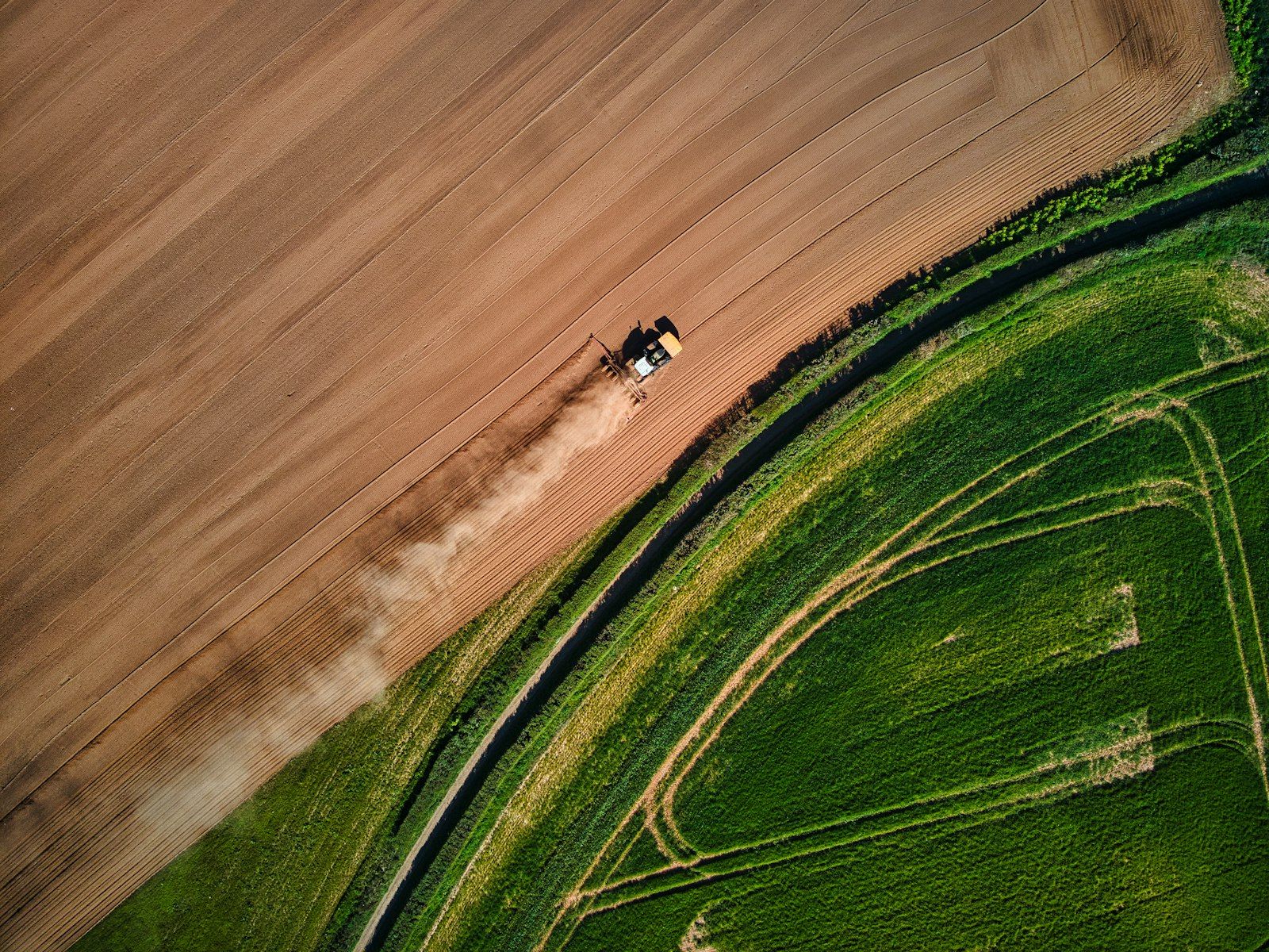 Aerial view of a combine harvesting a golden field