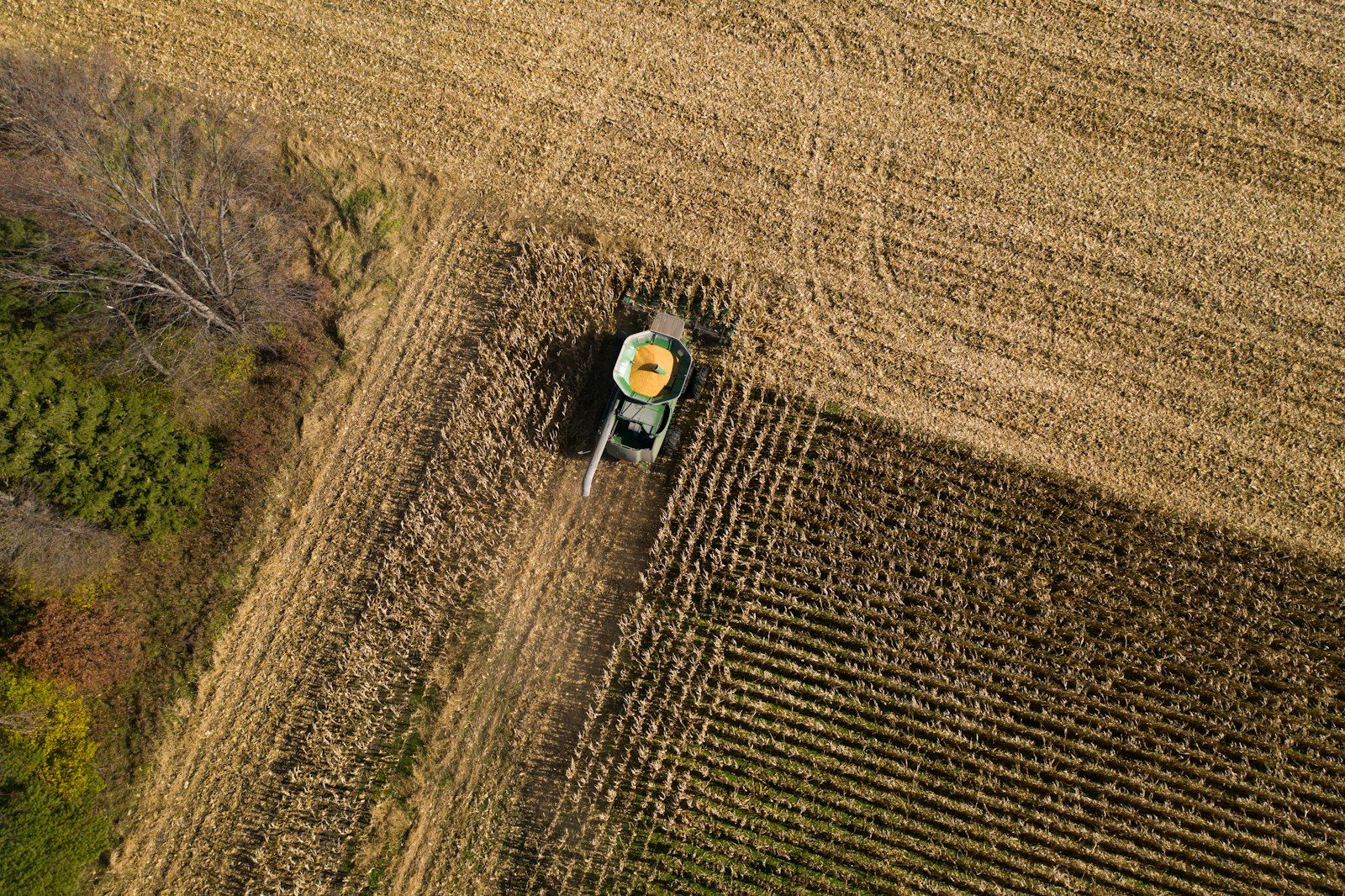 Aerial view of harvested farmland