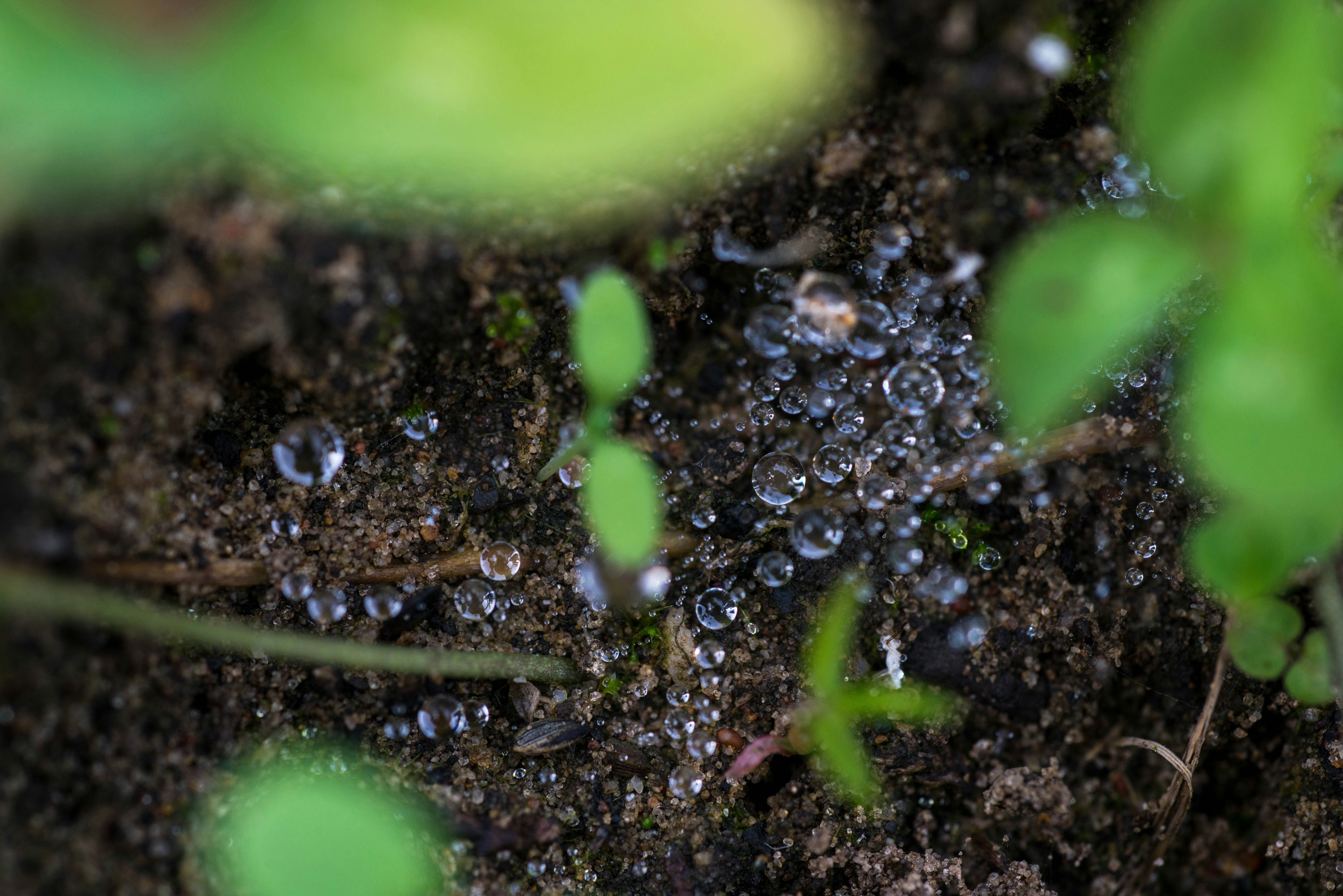 gocce d'acqua sulla superficie del suolo