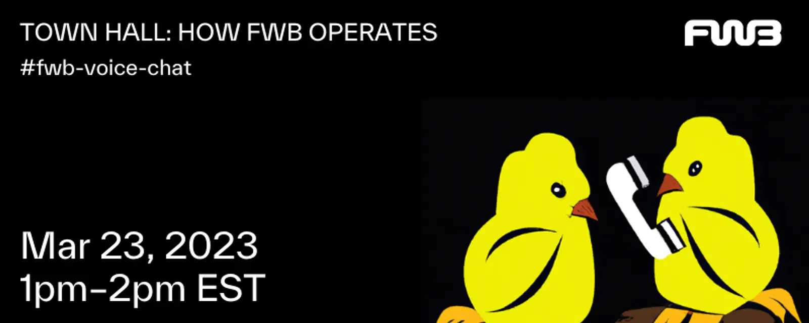 Town Hall: How FWB Operates event image