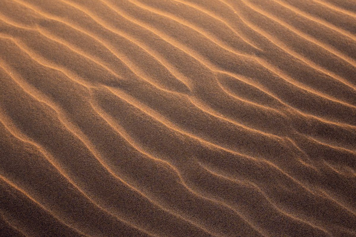 Rippled sand texture in warm light