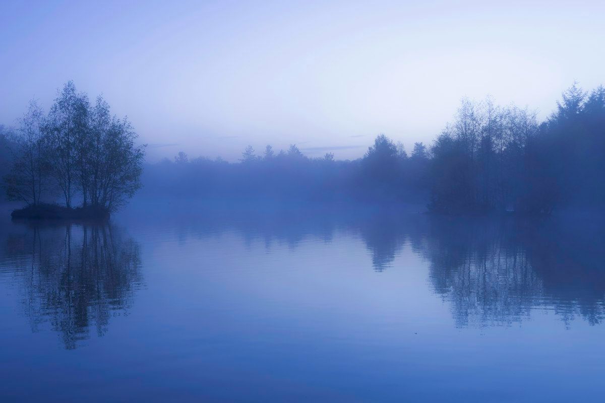Misty lake with trees reflected in still water