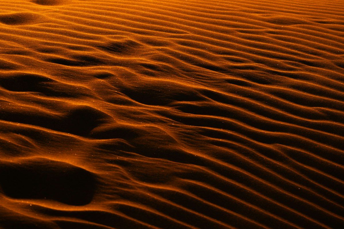Rippled sand dunes in warm evening light