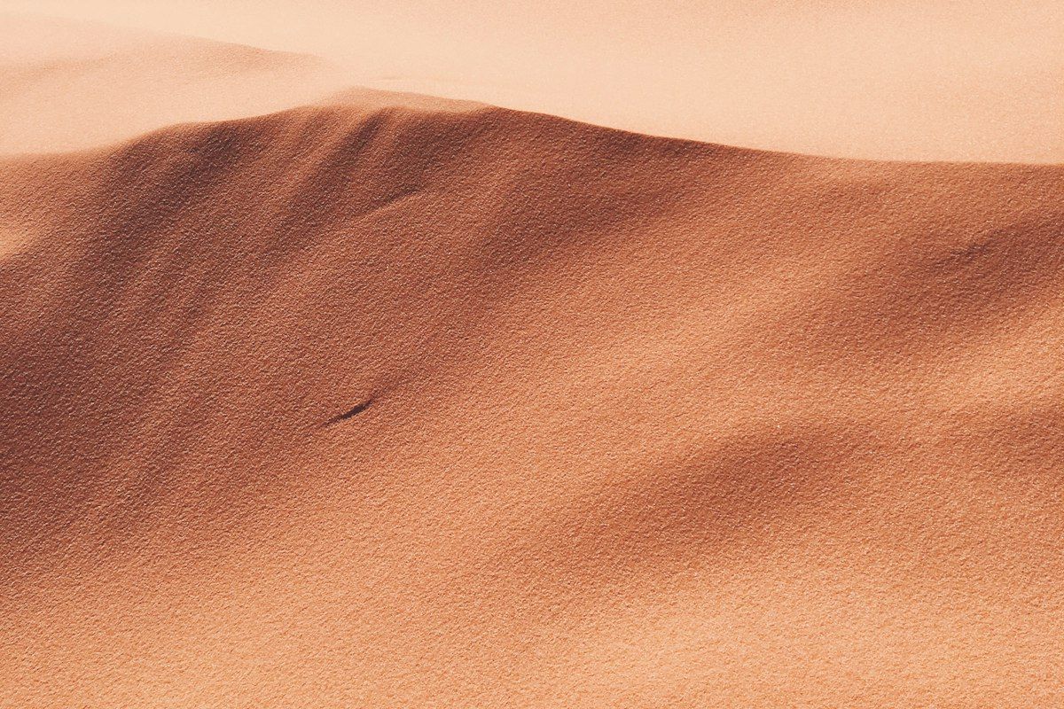 Sunlit sand dune ridge with soft shadow