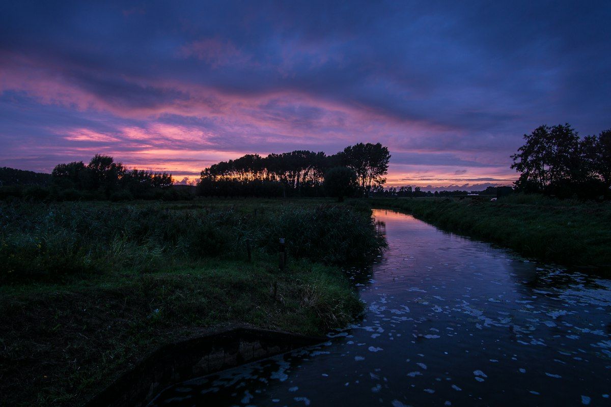 A calm stream reflecting a purple dusk sky