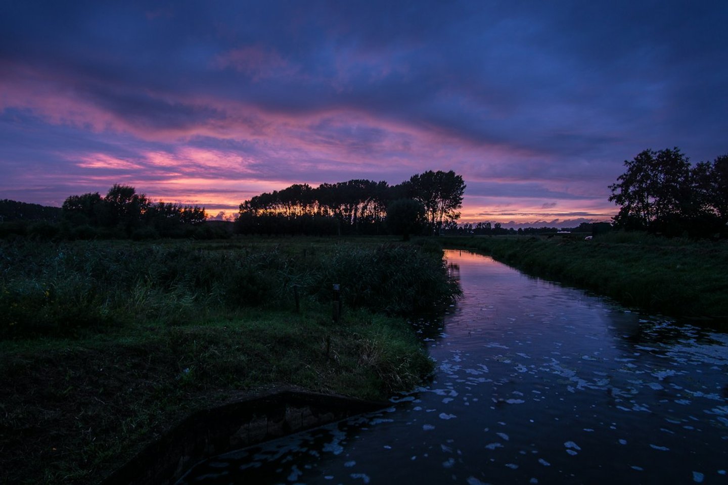 A calm stream reflecting a purple dusk sky