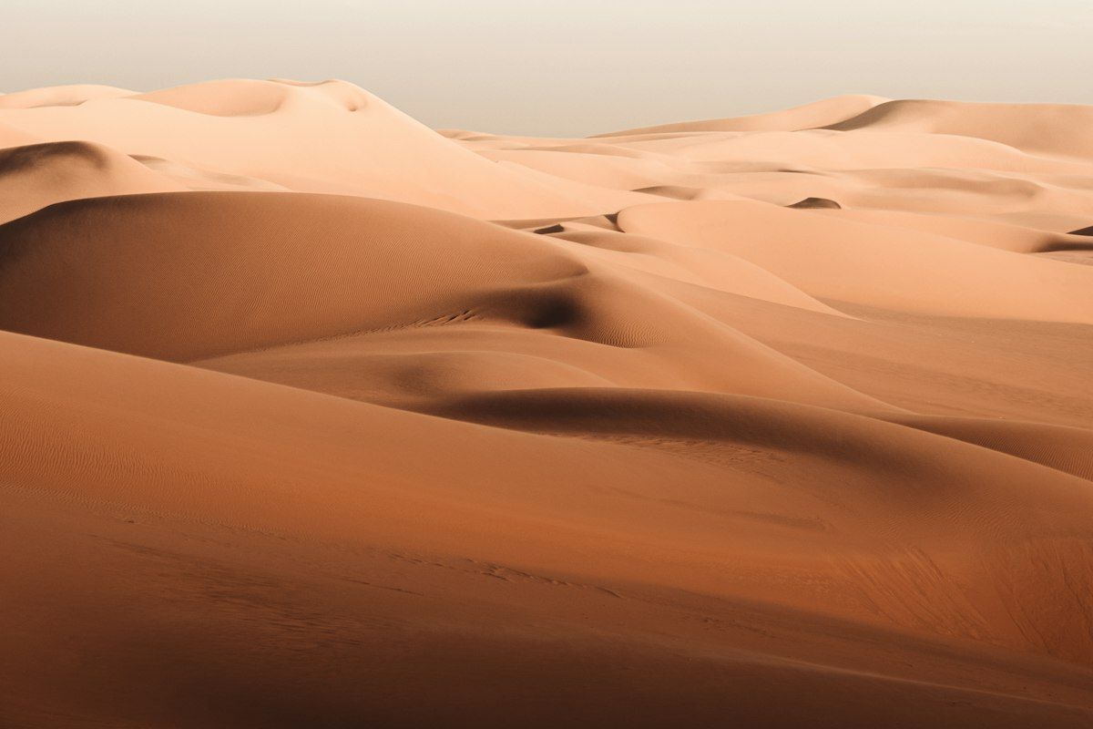 Rolling sand dunes in warm light
