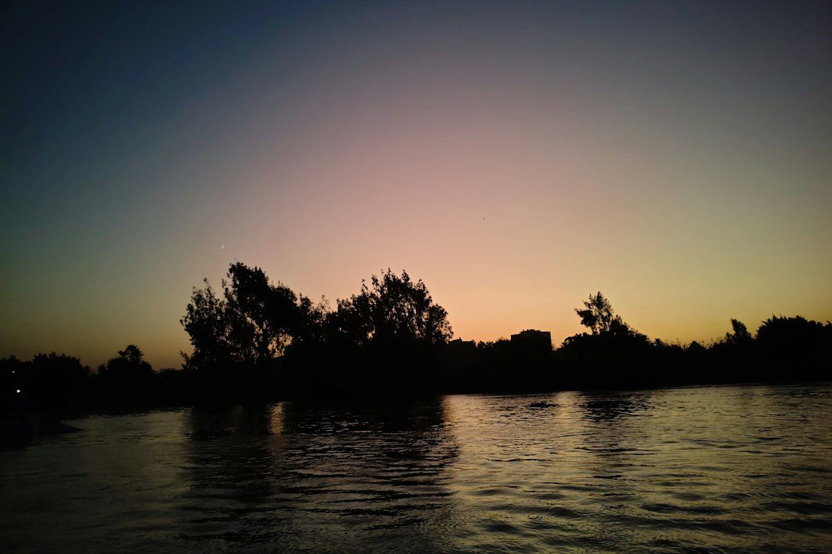 Silhouetted trees beside calm water at dusk
