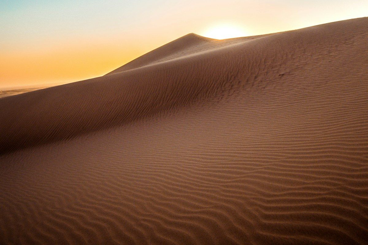 Sand dune ridge catching the setting sun