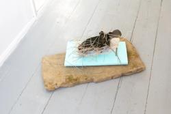 Missing alternative text