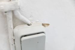 Missing alternative text