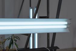 Missing alternative text