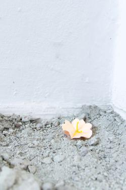 Missing alternative text