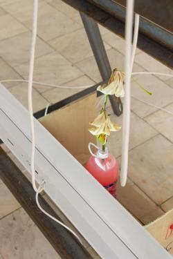 Missing alternative text