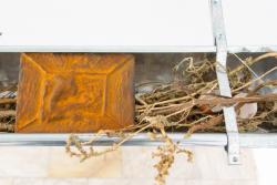 Missing alternative text