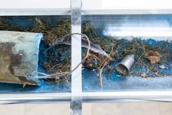 Missing alternative text