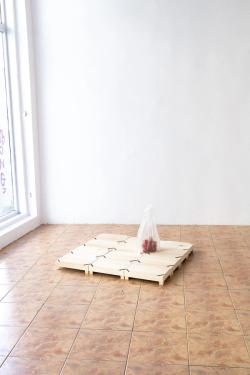 Missing alternative text