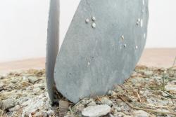 Missing alternative text