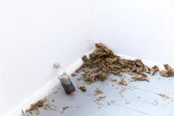 Missing alternative text