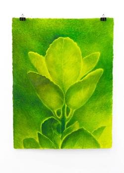 Missing alternative text