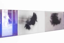 Missing alternative text