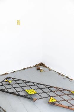 Missing alternative text