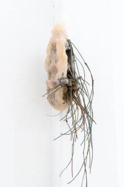 Missing alternative text