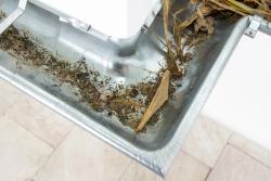 Missing alternative text