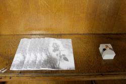 Missing alternative text