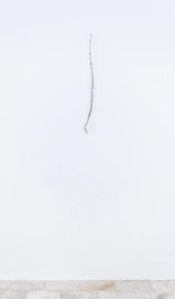 Missing alternative text