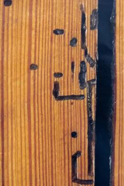 Missing alternative text