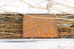 Missing alternative text