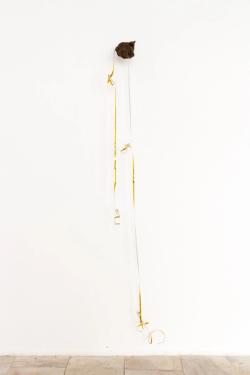 Missing alternative text