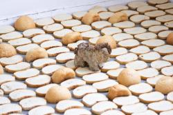 Missing alternative text