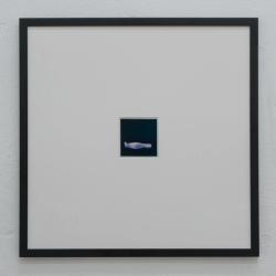 Missing alternative text