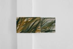 Missing alternative text