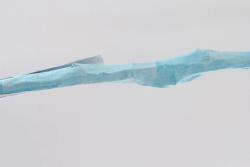 Missing alternative text