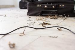 Missing alternative text