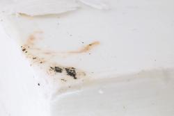 Missing alternative text