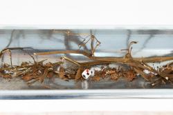 Missing alternative text