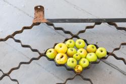 Missing alternative text