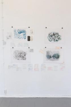 Missing alternative text