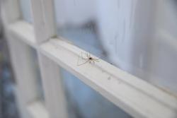 Missing alternative text